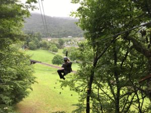 Person zip lining through trees.