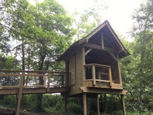 Tree house with ramp leading up to it.