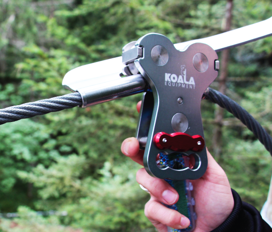 Koala belay system.