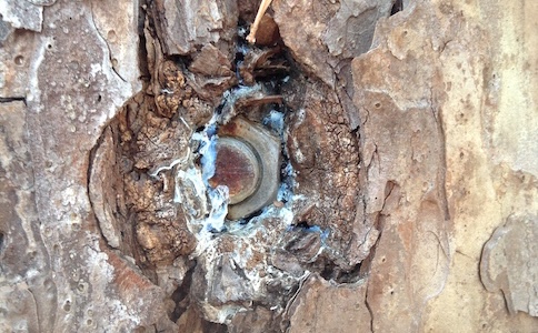 tree-based facility maintenance with stacked bolt washers and hardware solutions