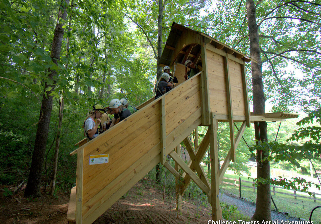 Greystone Tree-House Entry1