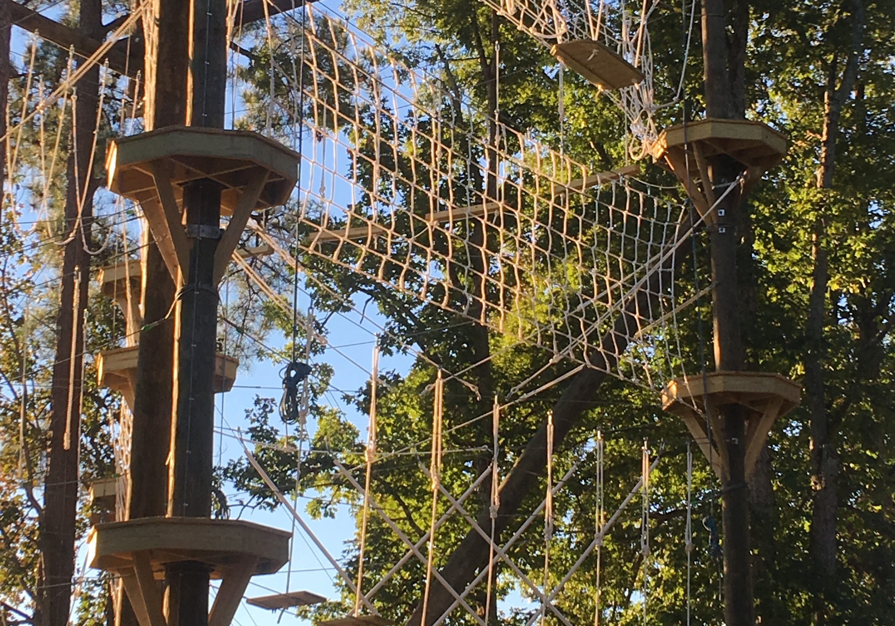 challenge-towers-elements-in-trees-collegiate-school